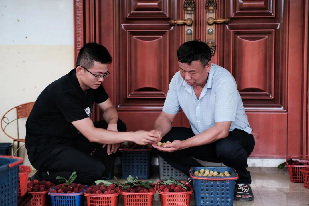 珠兰乡 杨梅满枝头，游客采摘忙，幽谷觅兰香