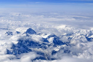 云上幽兰谷 珠兰绽放的隐秘仙境