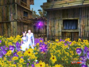 幽兰谷珠兰 完美国际中的恋爱圣地与浪漫风情的诗意栖居