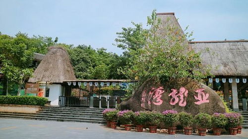 人生本该自由，何不就此漂泊——三亚篇·幽兰谷珠兰