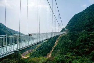 幽兰谷珠兰 韶关说明书中的疗愈秘境，包治旅途烦忧